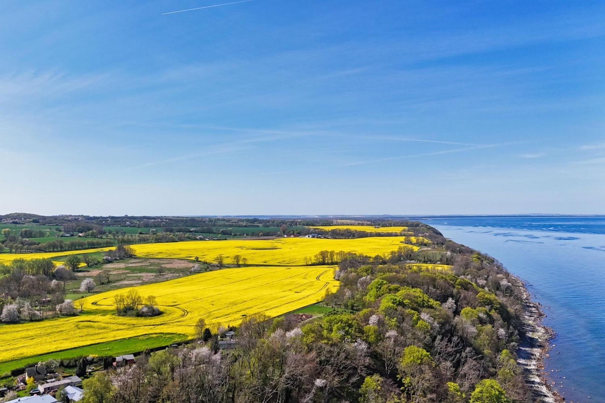 Ferienwohnung Mit Traumhaftem Meerblick - Haus Am Meer Fewo 02 Lohme Exterior foto